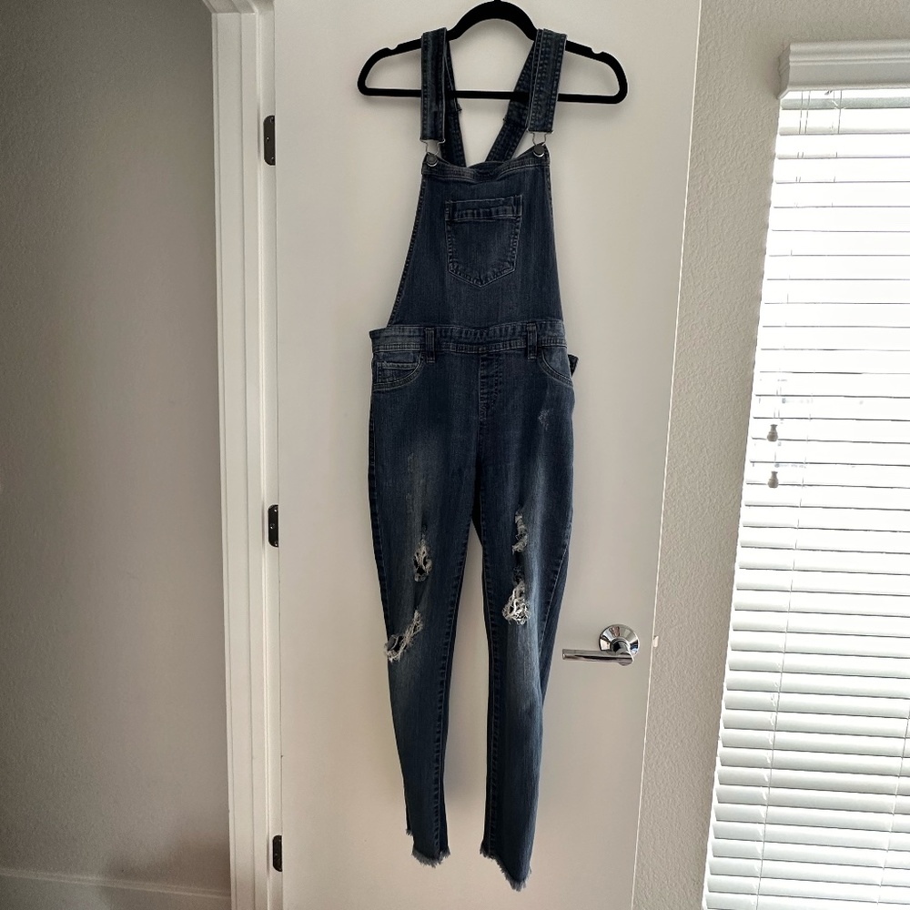 Tinsel Ripped Skinny Overalls